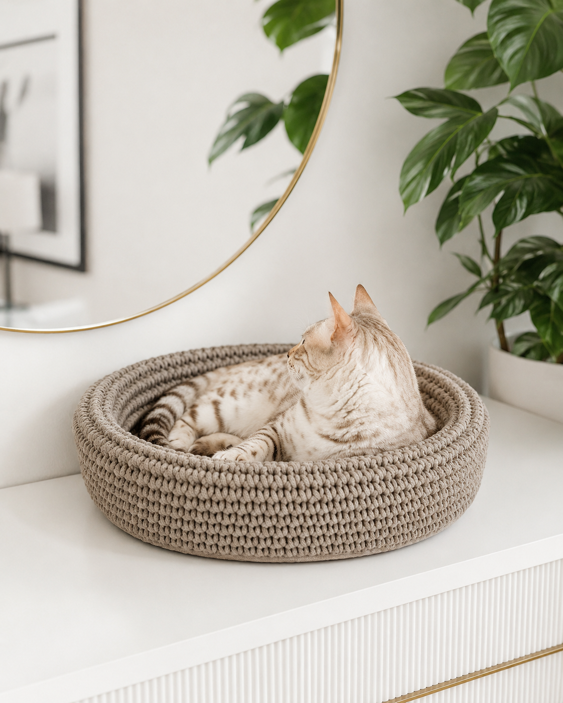 Cat Bed with Soft Cushion Base | Hand-Woven Design for Cozy Comfort 2
