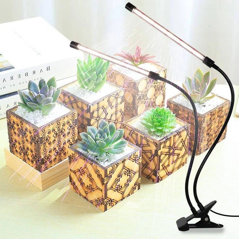 Clip On Plant Grow Light with Timer and Dual Gooseneck Arms for Indoor Use 2