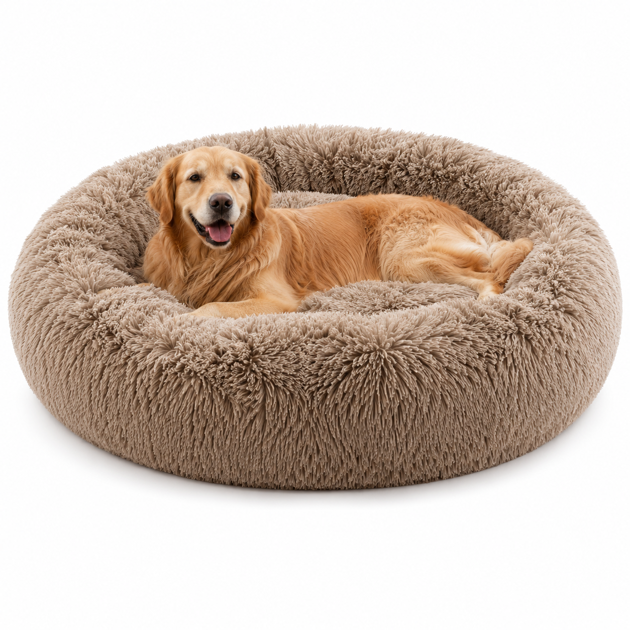 Comfort Haven | Large Dog Bed with Soft Memory Foam for Peaceful Sleep 2