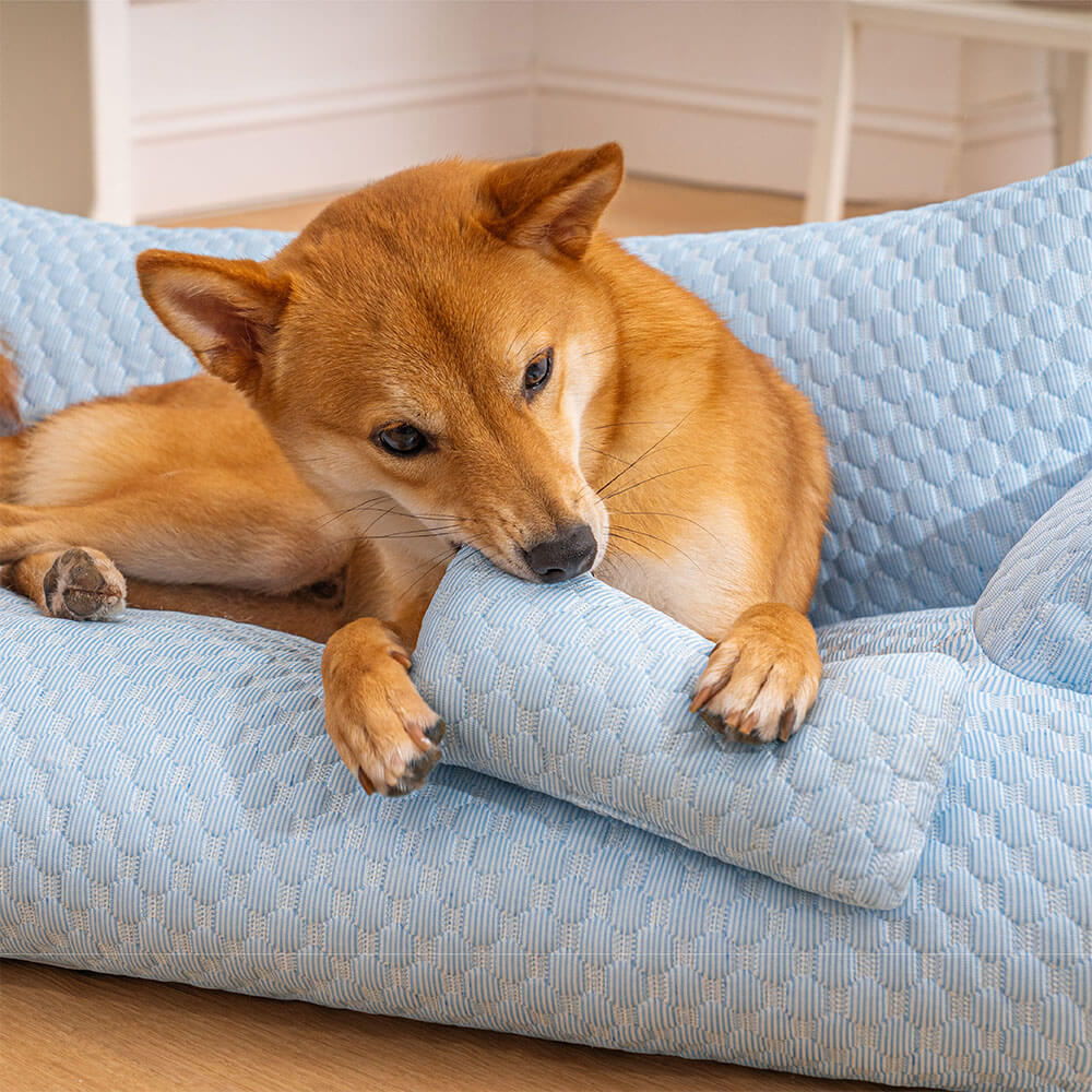Cooling Pet Bed | Ice Silk Dog Bed with Plush Padding | Breathable Design for Ultimate Comfort 3