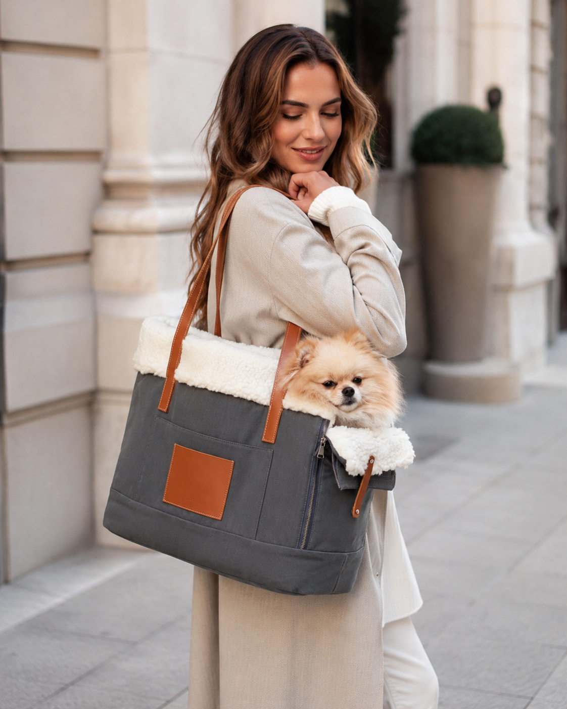 Stylish Dog & Cats Carrier Bag with Removable Lining 4