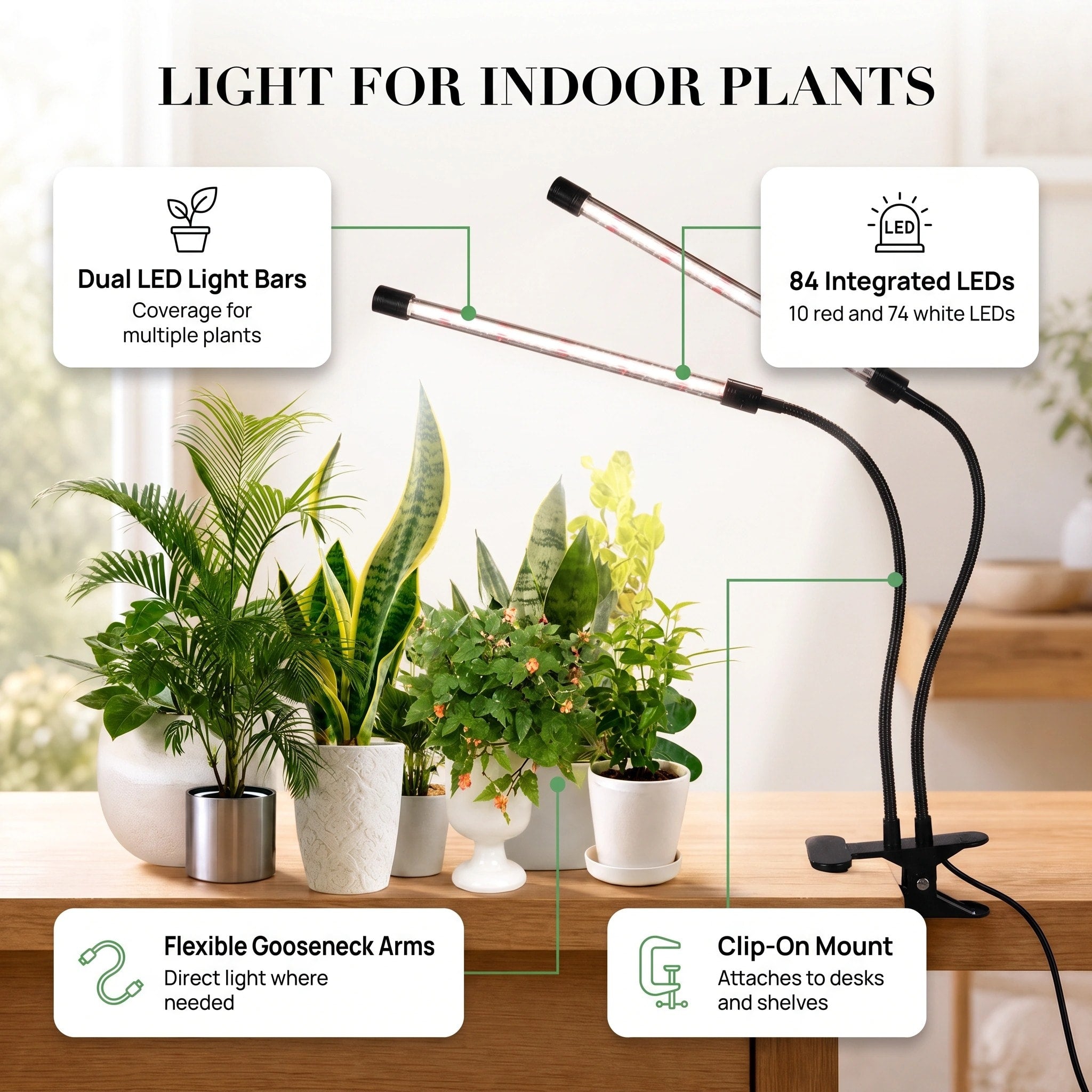 Clip-On Plant Grow Light with Timer and Dual Adjustable Gooseneck Arms