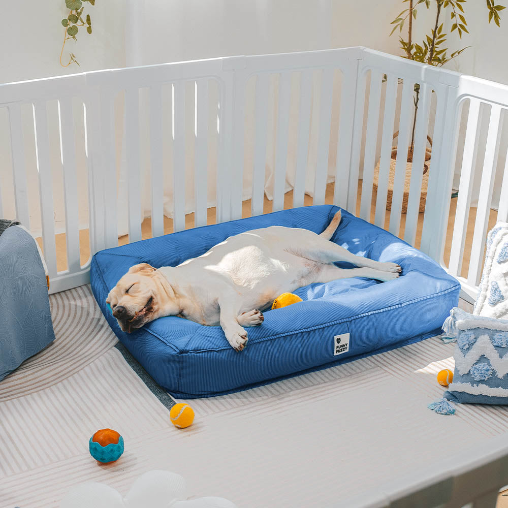 Lit orthopédique pour chien avec tissu imperméable, rebords surélevés et housse lavable