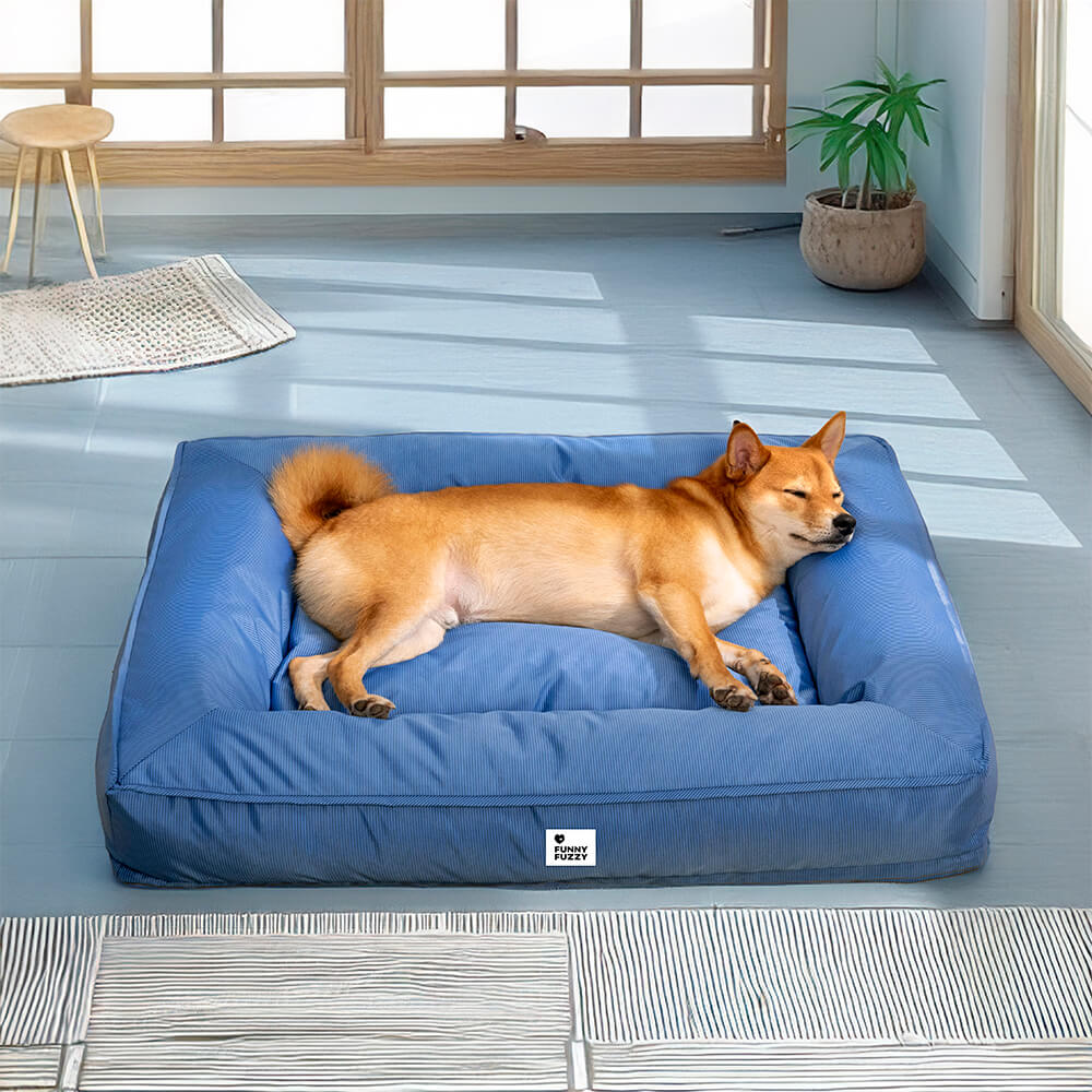 Lit orthopédique pour chien avec tissu imperméable, rebords surélevés et housse lavable