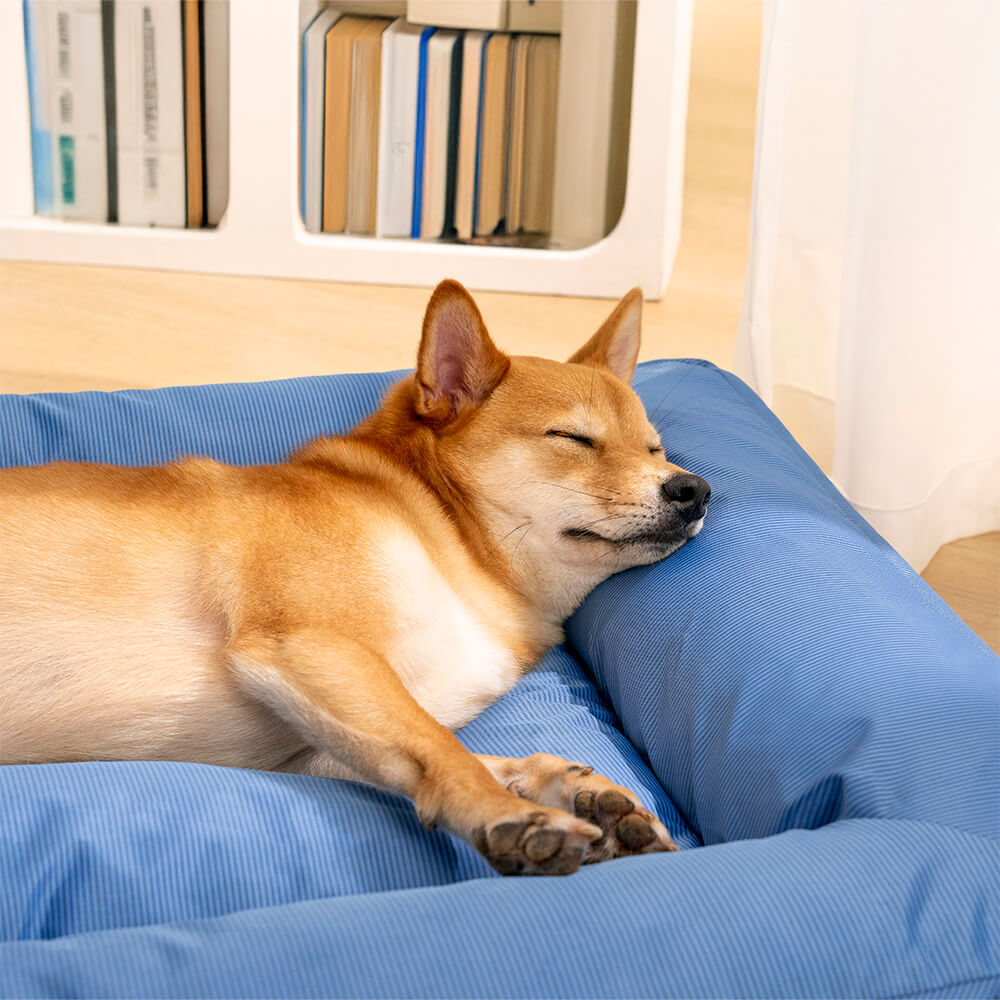 Lit orthopédique pour chien avec tissu imperméable, rebords surélevés et housse lavable