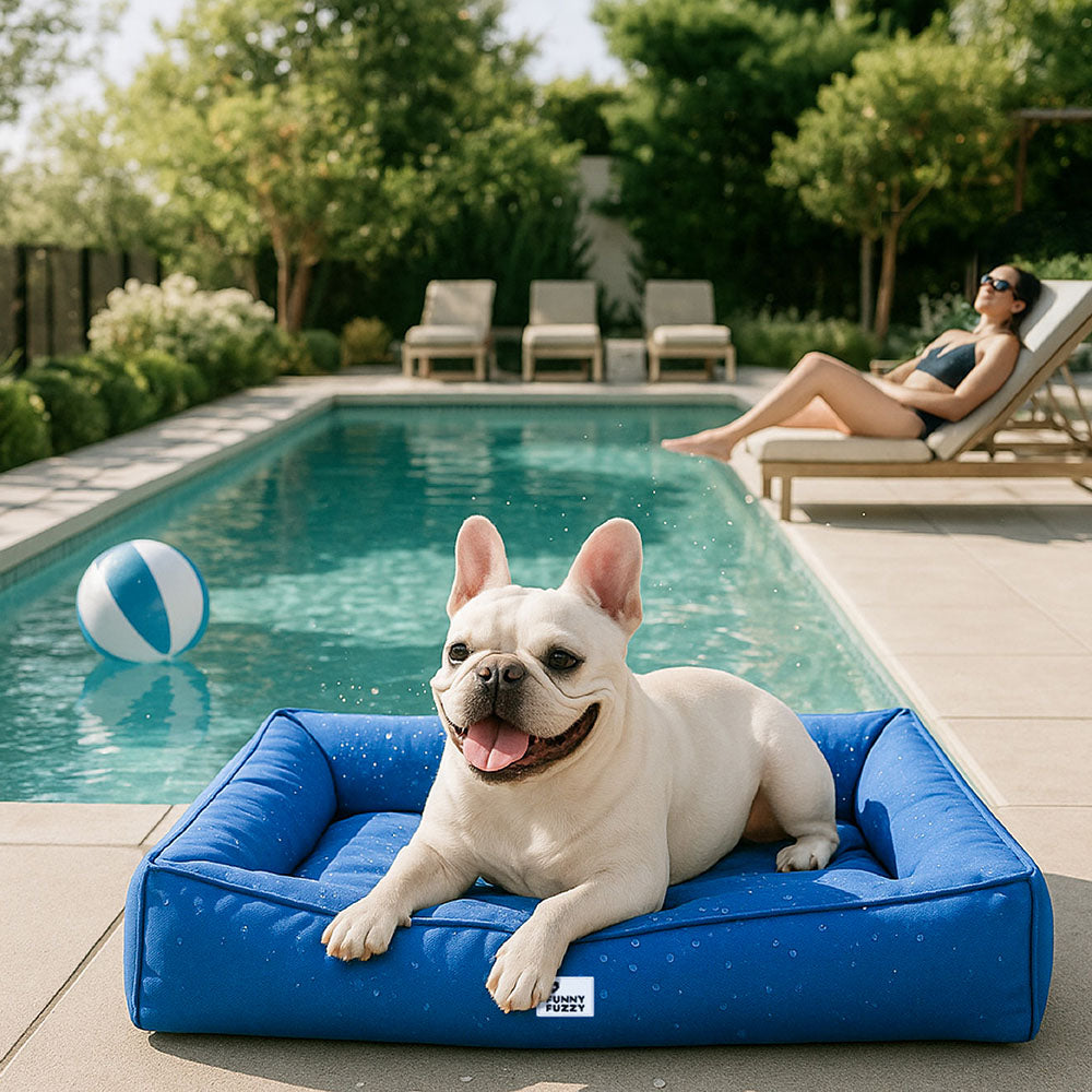 Lit orthopédique pour chien avec tissu imperméable, rebords surélevés et housse lavable