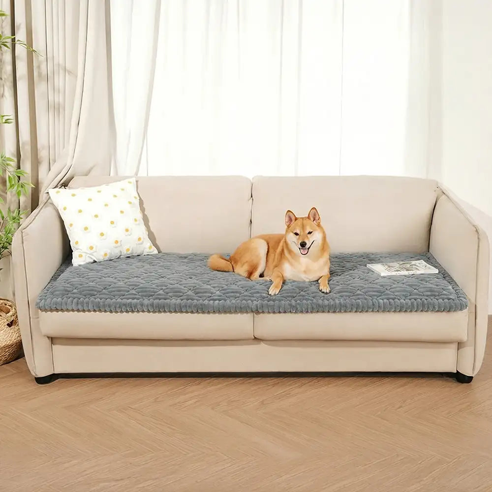 Housse de protection pour canapé en peluche lavable avec dos antidérapant pour animaux de compagnie