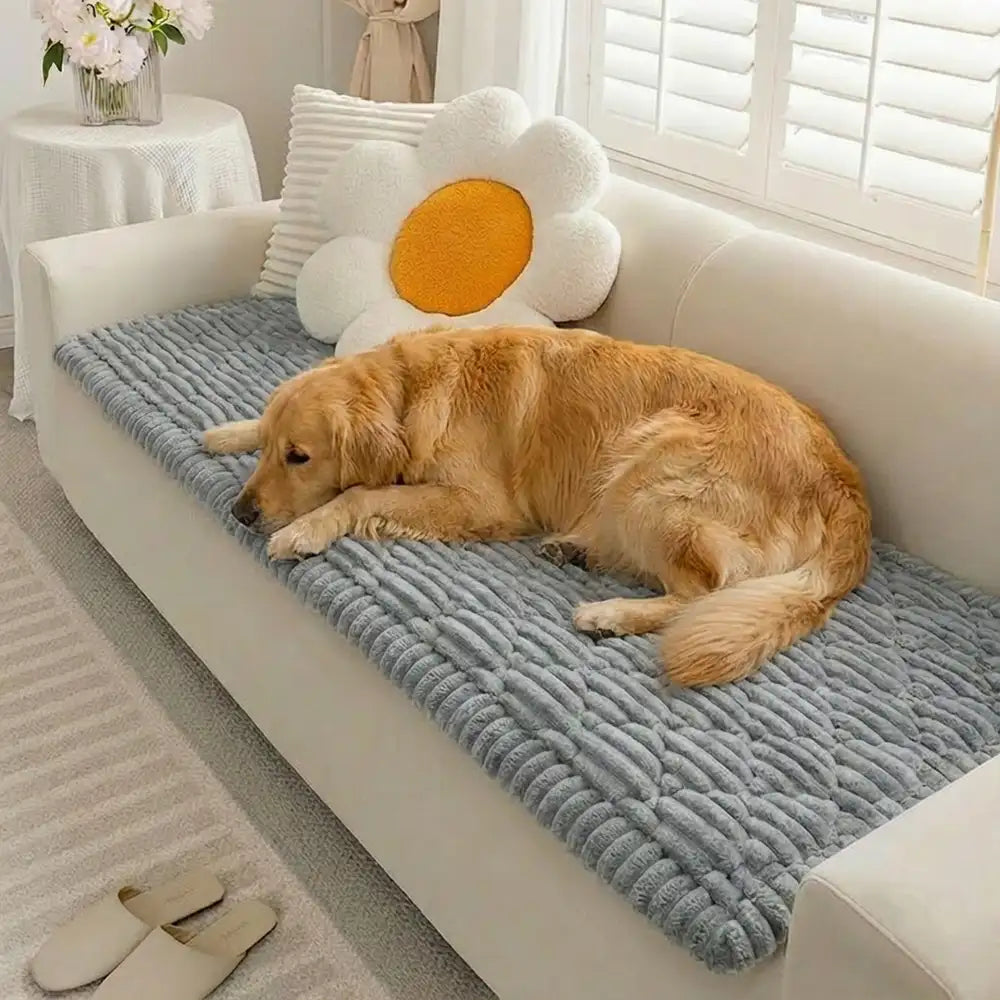 Housse de protection pour canapé en peluche lavable avec dos antidérapant pour animaux de compagnie