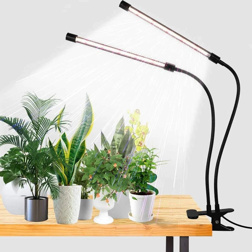 Clip On Plant Grow Light with Timer and Dual Gooseneck Arms for Indoor Use 0