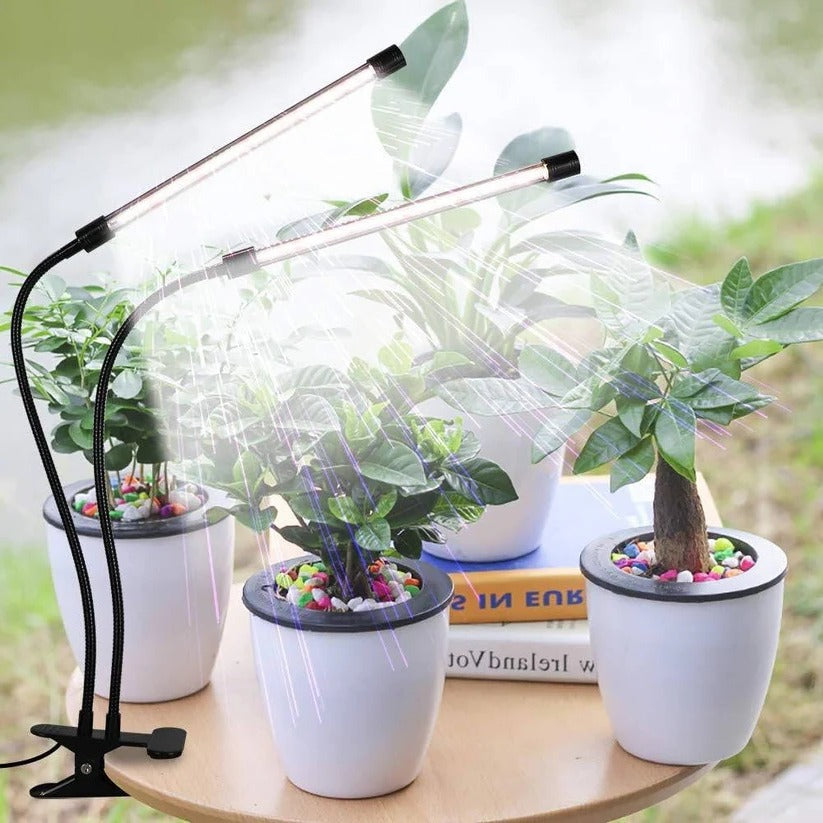 Clip On Plant Grow Light with Timer and Dual Gooseneck Arms for Indoor Use 1