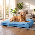 Cooling Nap | Large Orthopedic Dog Bed with Breathable Fabric | Supportive Design for Joint Health 0