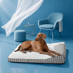 Cooling Nap | Large Orthopedic Dog Bed with Breathable Fabric | Supportive Design for Joint Health 2