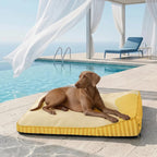 Cooling Orthopedic Dog Bed | Large Design with High-Density Support for Joint Health 3