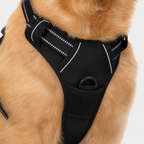 No Pull Dog Harness with Handle – Adjustable Padded Comfort Vest for Small, Medium & Large Dogs 0