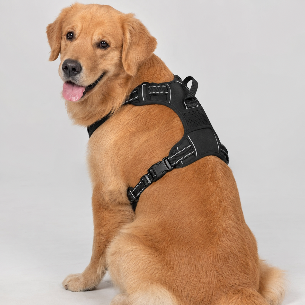 No Pull Dog Harness with Handle – Adjustable Padded Comfort Vest for Small, Medium & Large Dogs 2