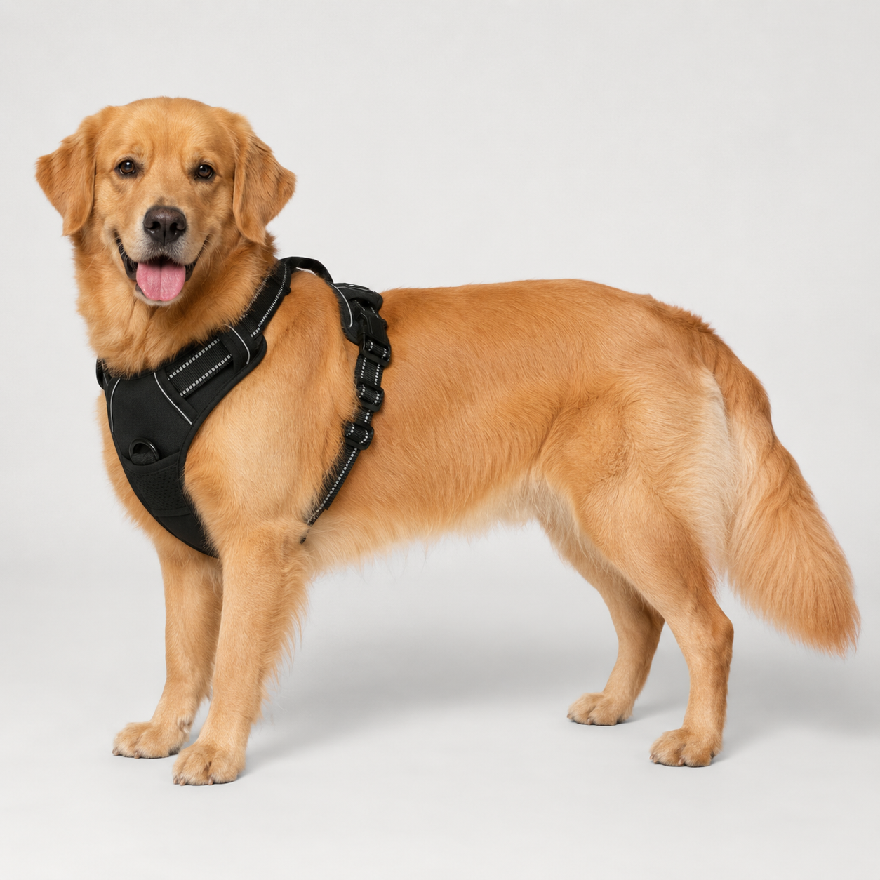 No Pull Dog Harness with Handle – Adjustable Padded Comfort Vest for Small, Medium & Large Dogs 3