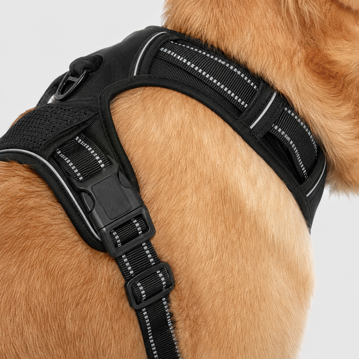 No Pull Dog Harness with Handle – Adjustable Padded Comfort Vest for Small, Medium & Large Dogs 4