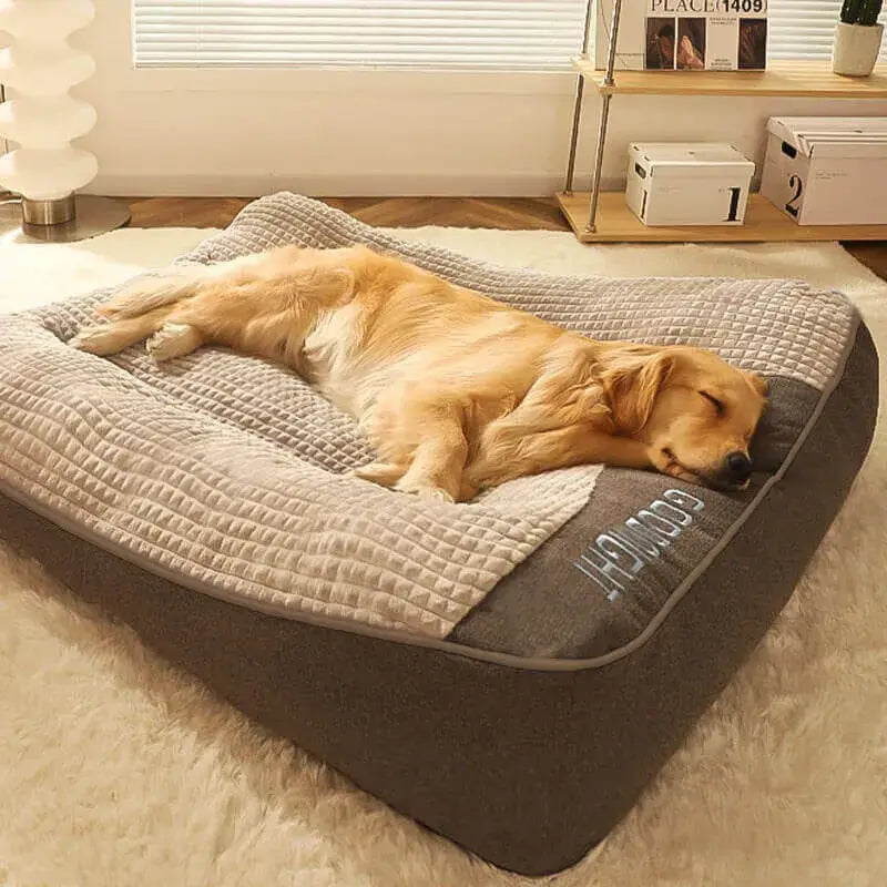 Lit orthopédique apaisant pour chien avec housse lavable et base antidérapante