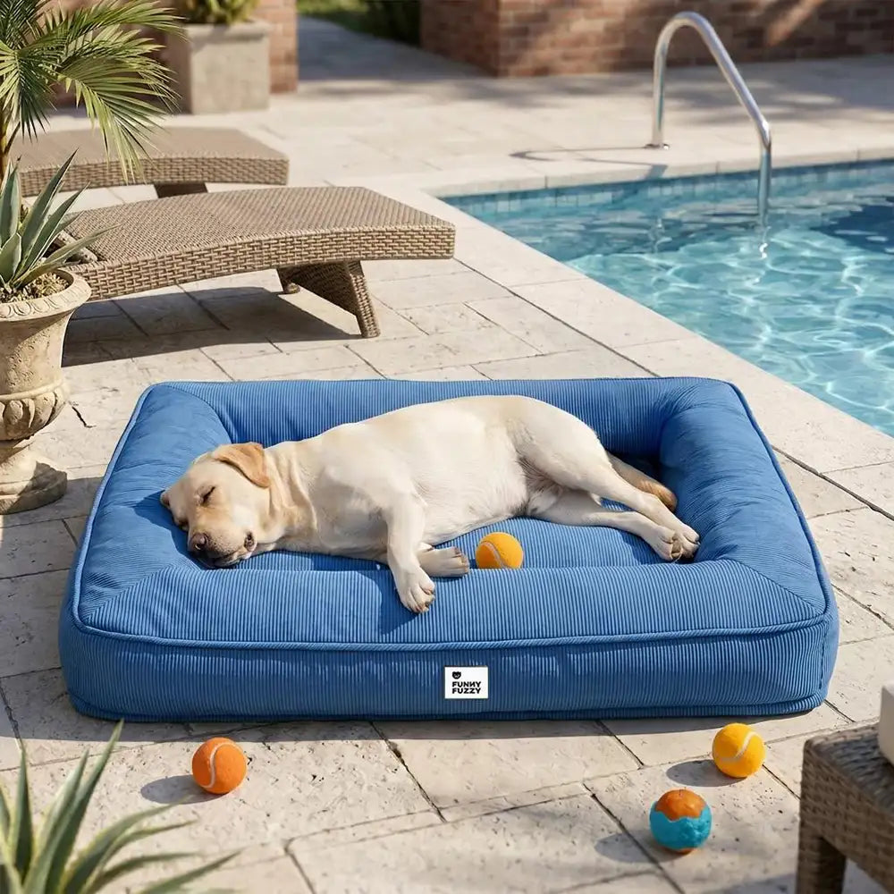 Lit orthopédique pour chien avec tissu imperméable, rebords surélevés et housse lavable