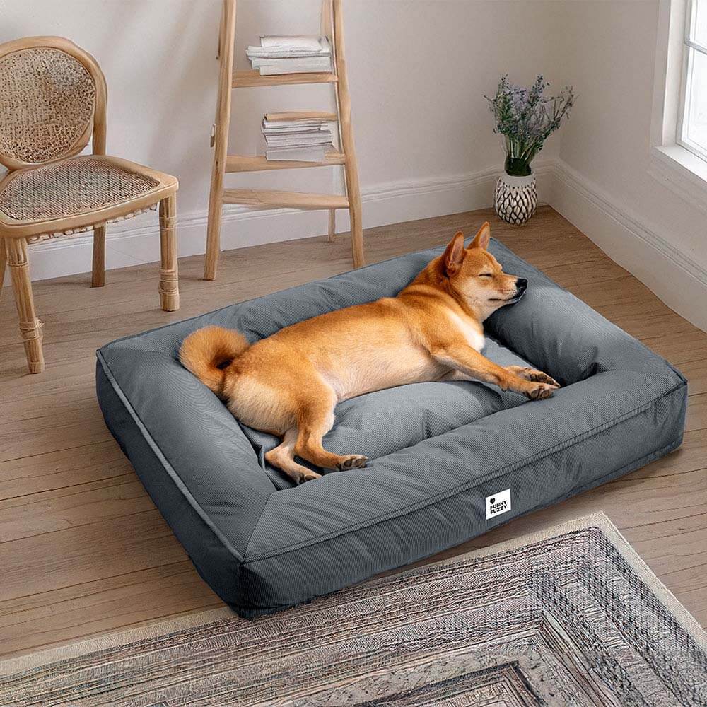 Lit orthopédique pour chien avec tissu imperméable, rebords surélevés et housse lavable