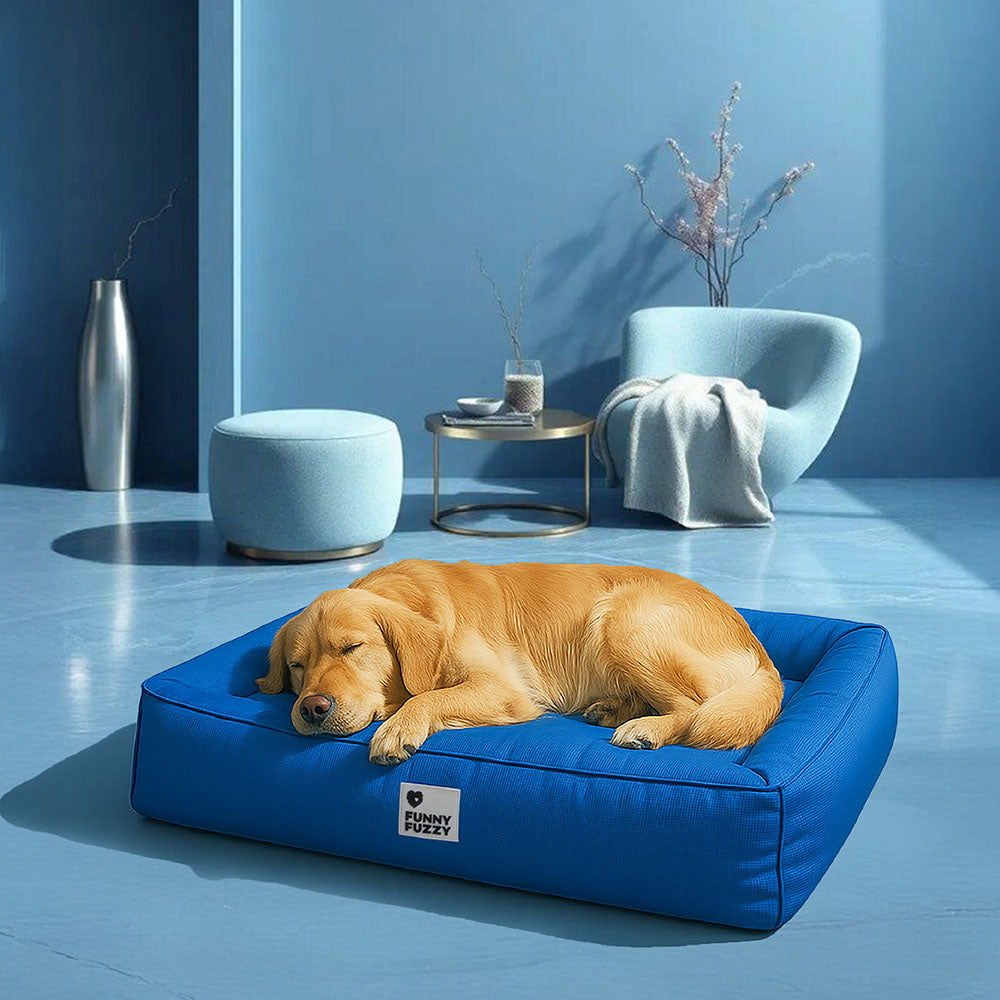 Lit orthopédique pour chien avec tissu imperméable, rebords surélevés et housse lavable