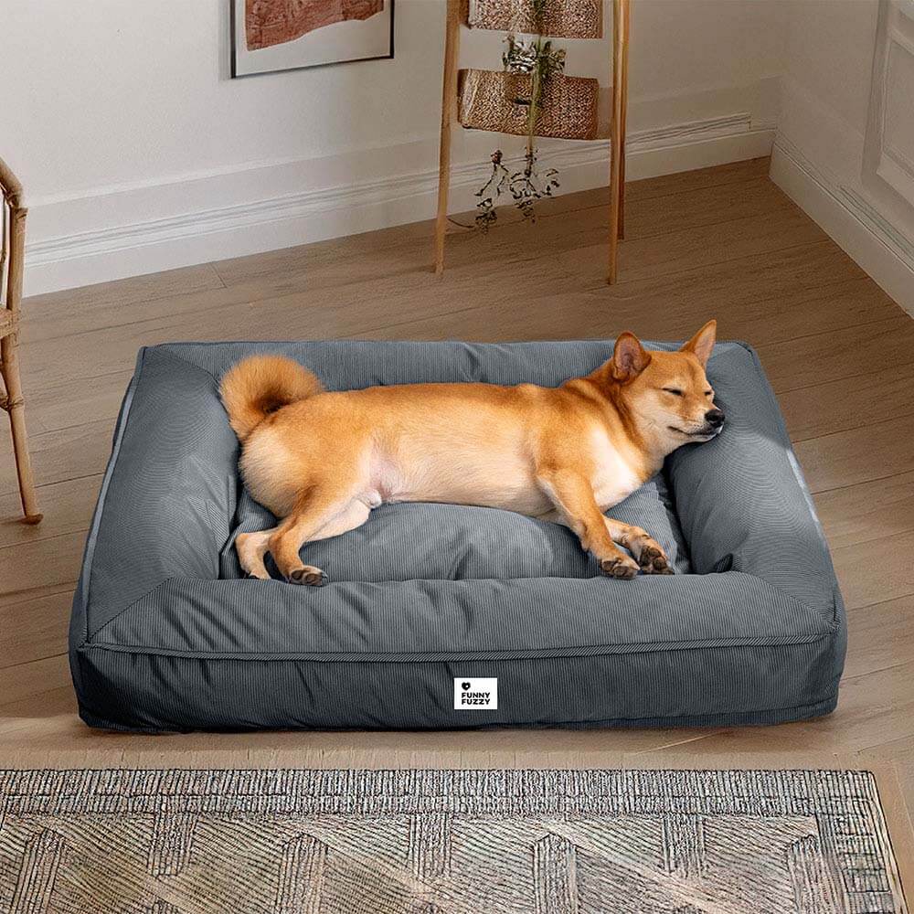 Lit orthopédique pour chien avec tissu imperméable, rebords surélevés et housse lavable