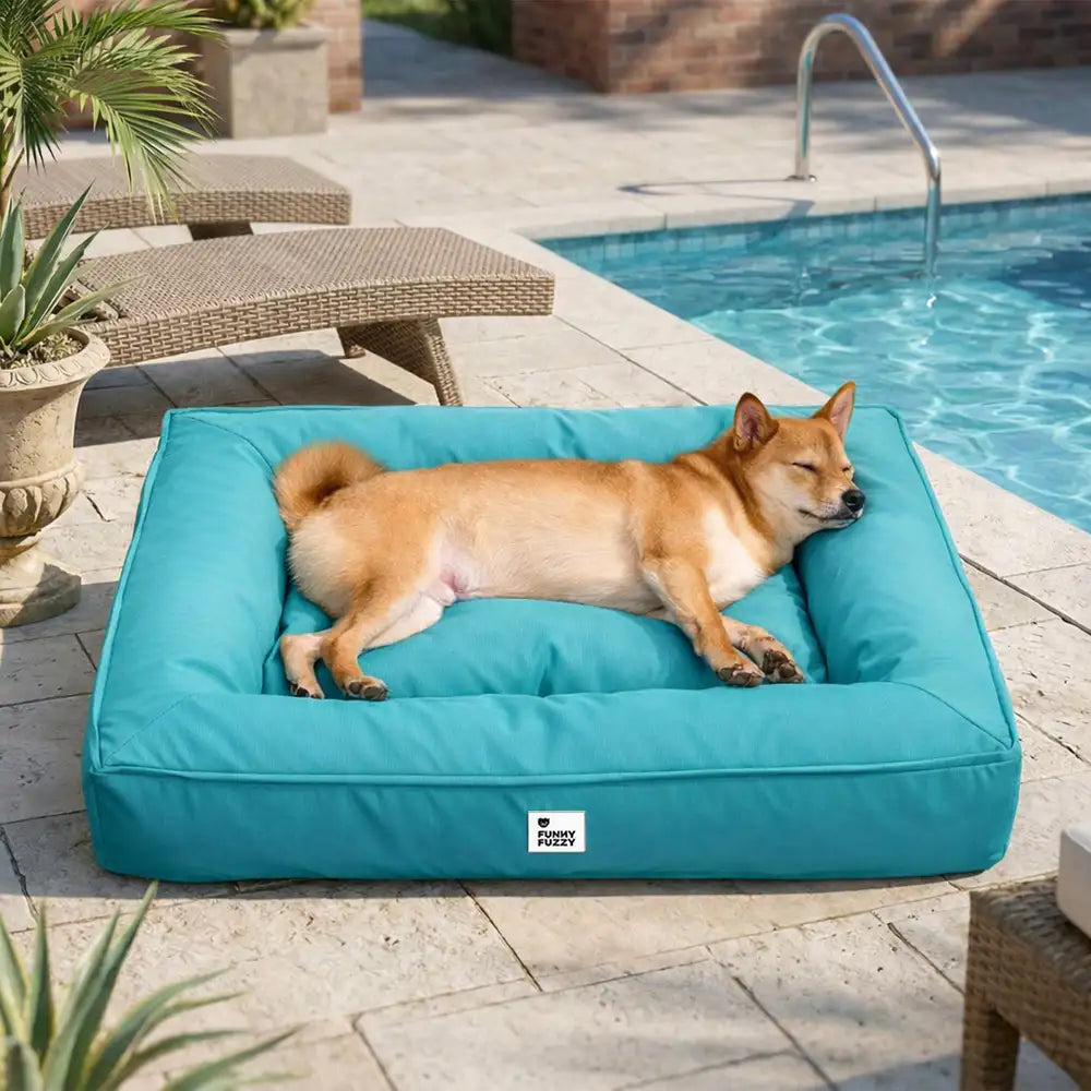 Lit orthopédique pour chien avec tissu imperméable, rebords surélevés et housse lavable