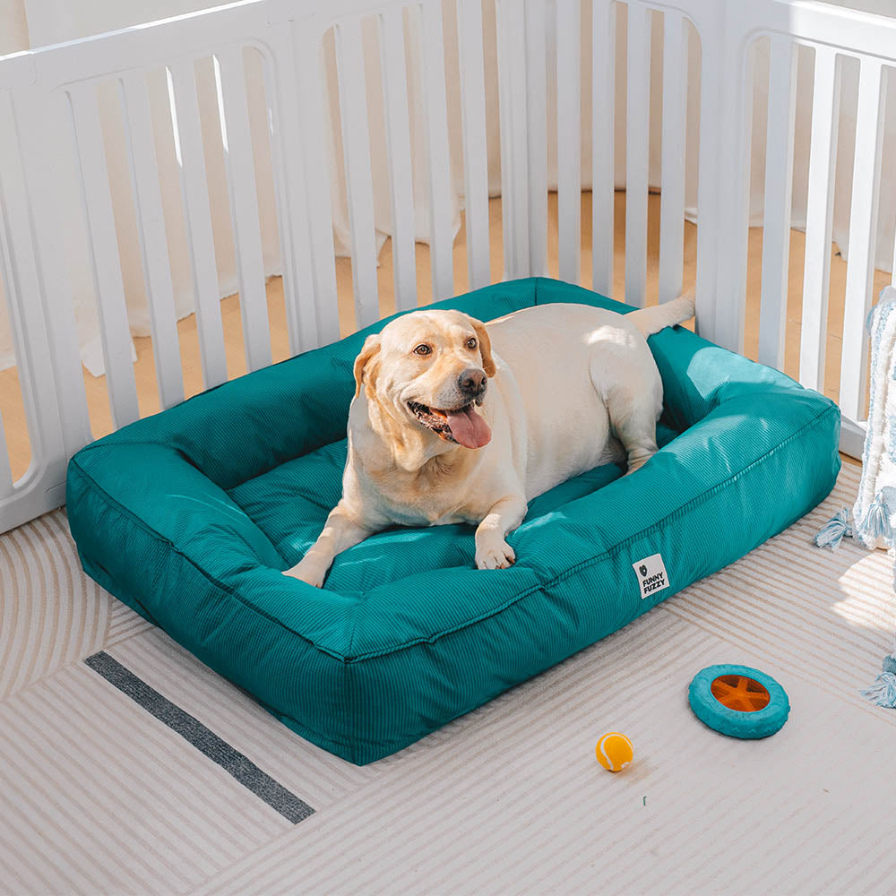 Lit orthopédique pour chien avec tissu imperméable, rebords surélevés et housse lavable