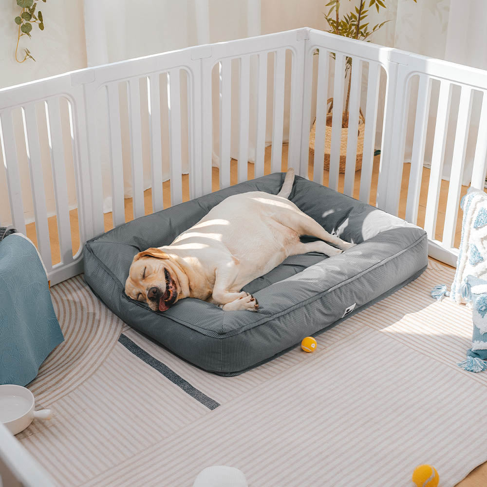 Lit orthopédique pour chien avec tissu imperméable, rebords surélevés et housse lavable