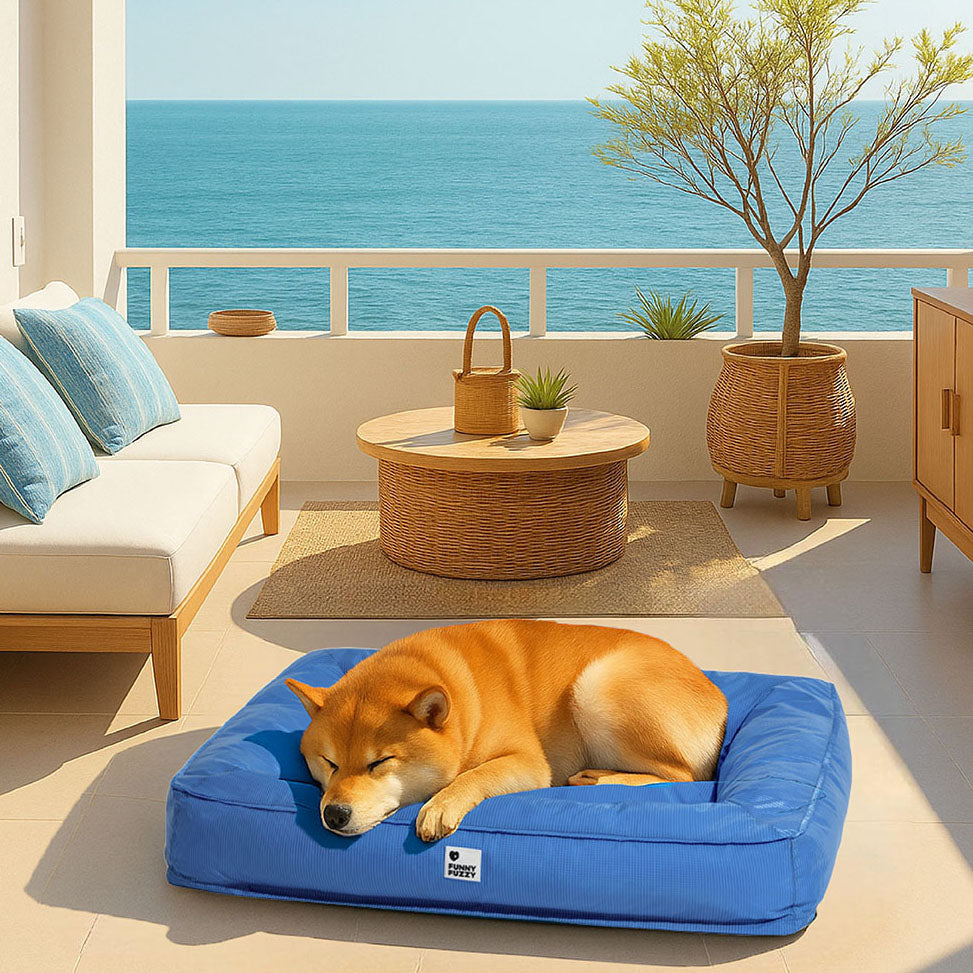 Lit orthopédique pour chien avec tissu imperméable, rebords surélevés et housse lavable