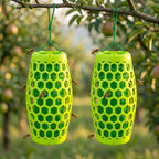 Reusable Hanging Wasp Trap with Replaceable Sticky Boards – Set of 2